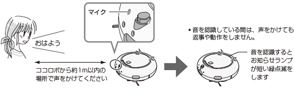 �������̂�����