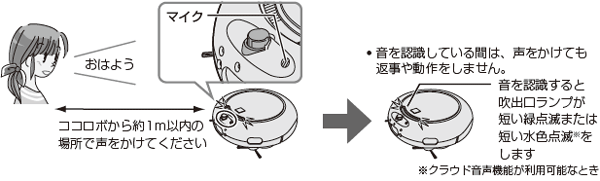 �������̂������iV200�j