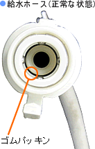 ���Ă̔j���i�p�b�L���������Ă���j���m�F