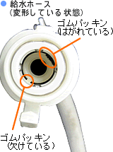 ���Ă̔j���i�p�b�L���������Ă���j���m�F